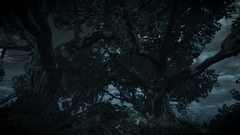 Ancient Trees in Forest — Green, Dark, Ominous