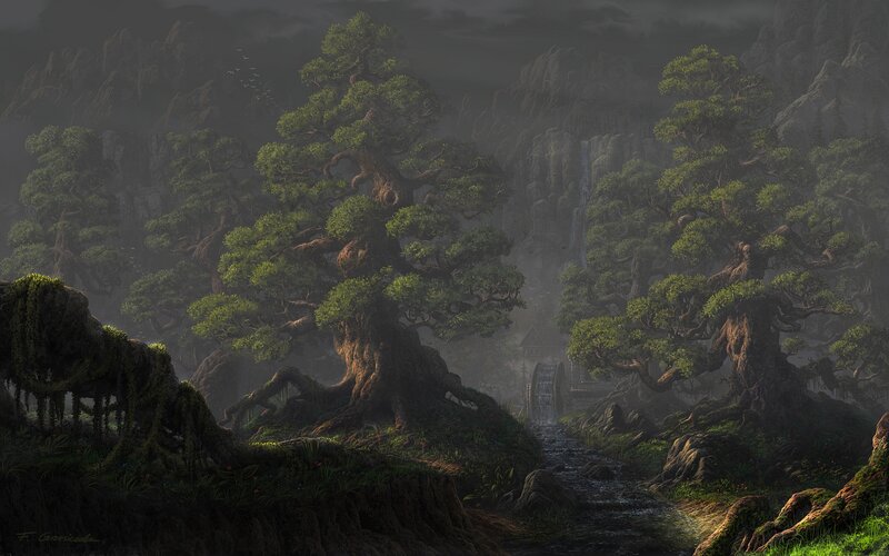 Ancient Trees in Forest — Green