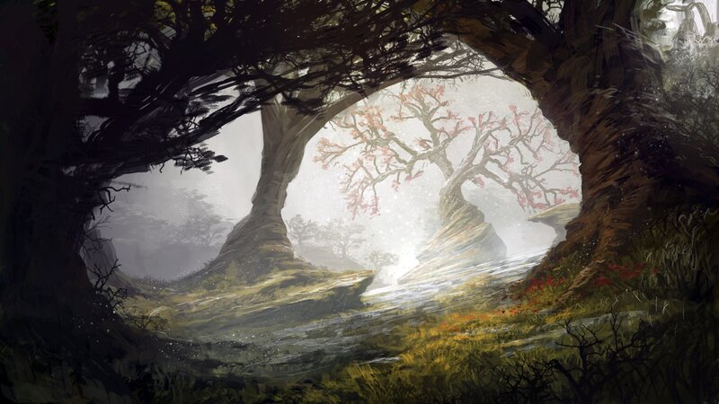 Ancient Trees in Mist — Green