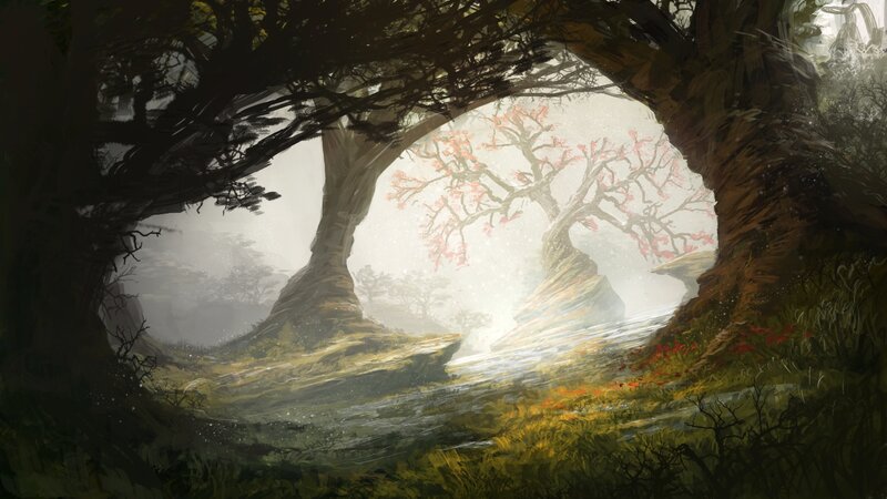 Ancient Trees in Mist