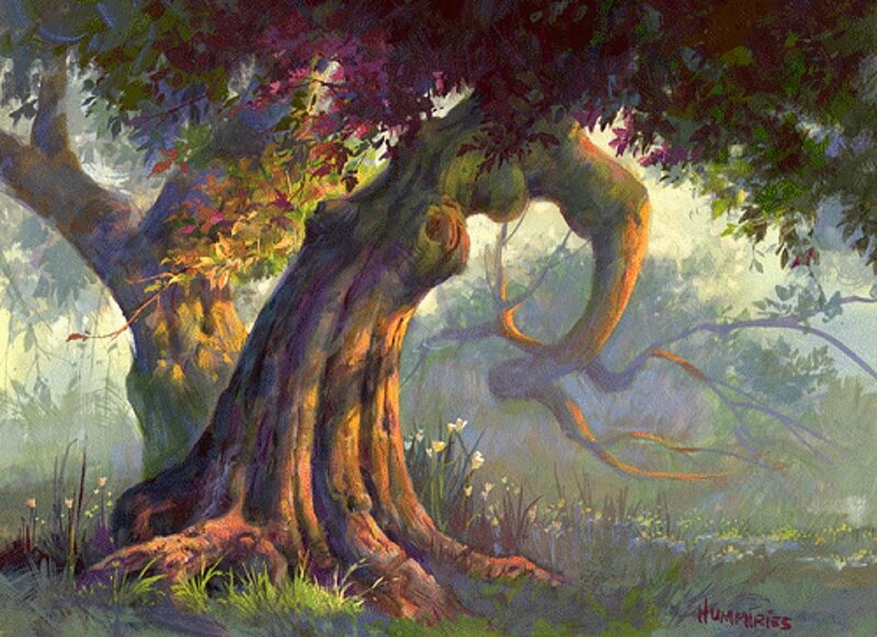 Ancient Twisted Tree