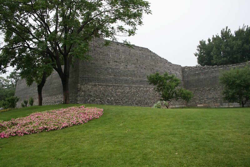 Ancient wall with flowers