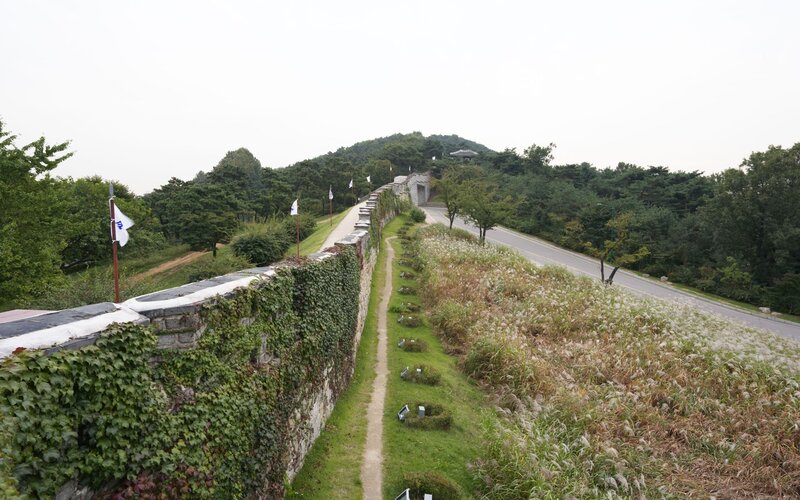ancient wall with ivy and flags