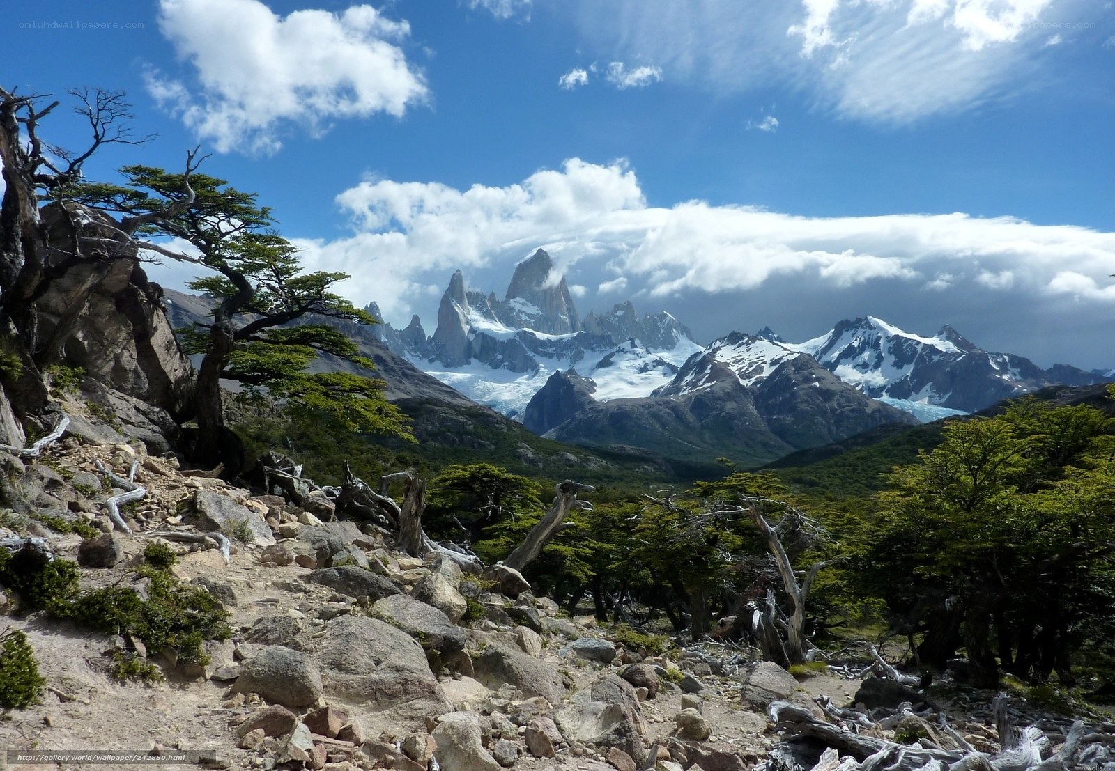 Andes mountain landscape