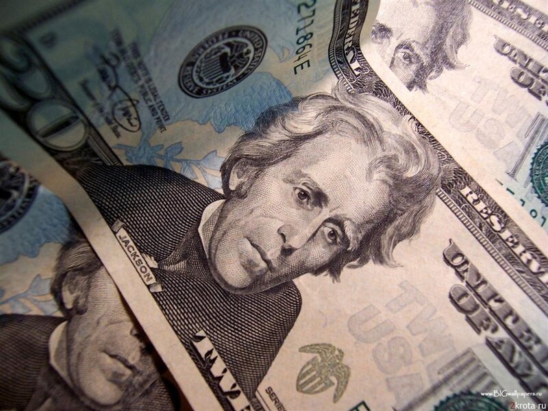 Andrew Jackson Portrait