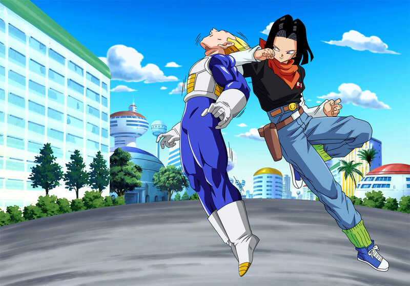 Android 17 vs Android 18 fight