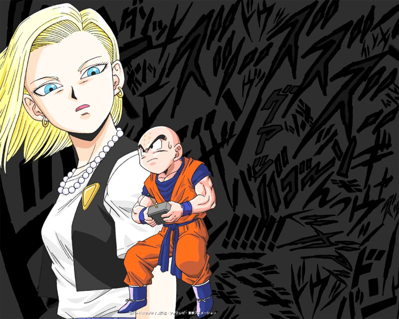 Android 18 and Krillin