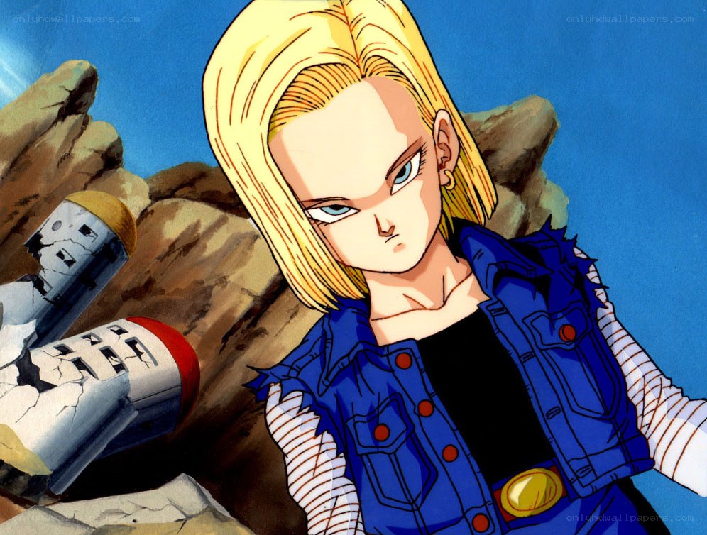 Android 18 in a rocky landscape