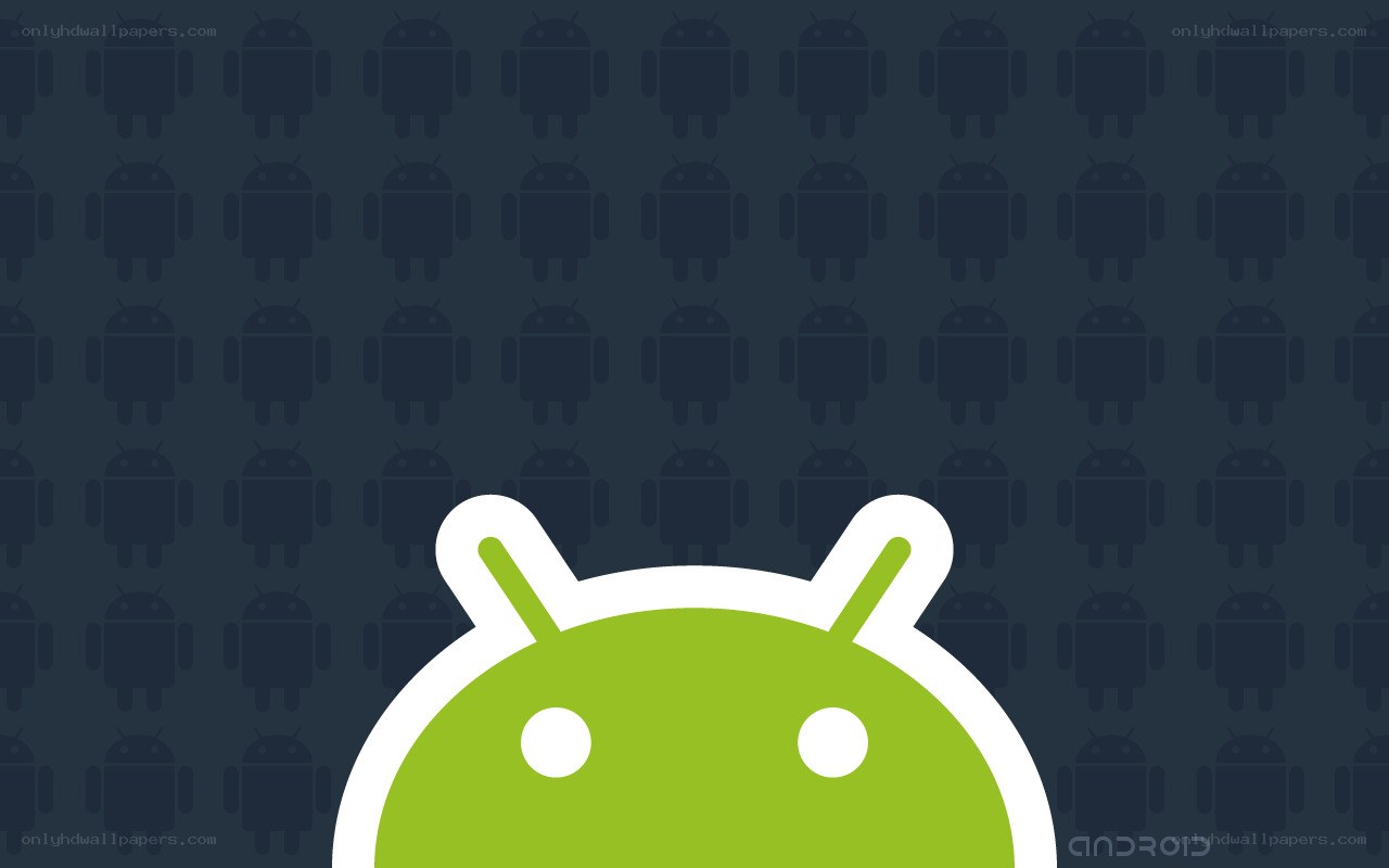 Android logo on patterned background