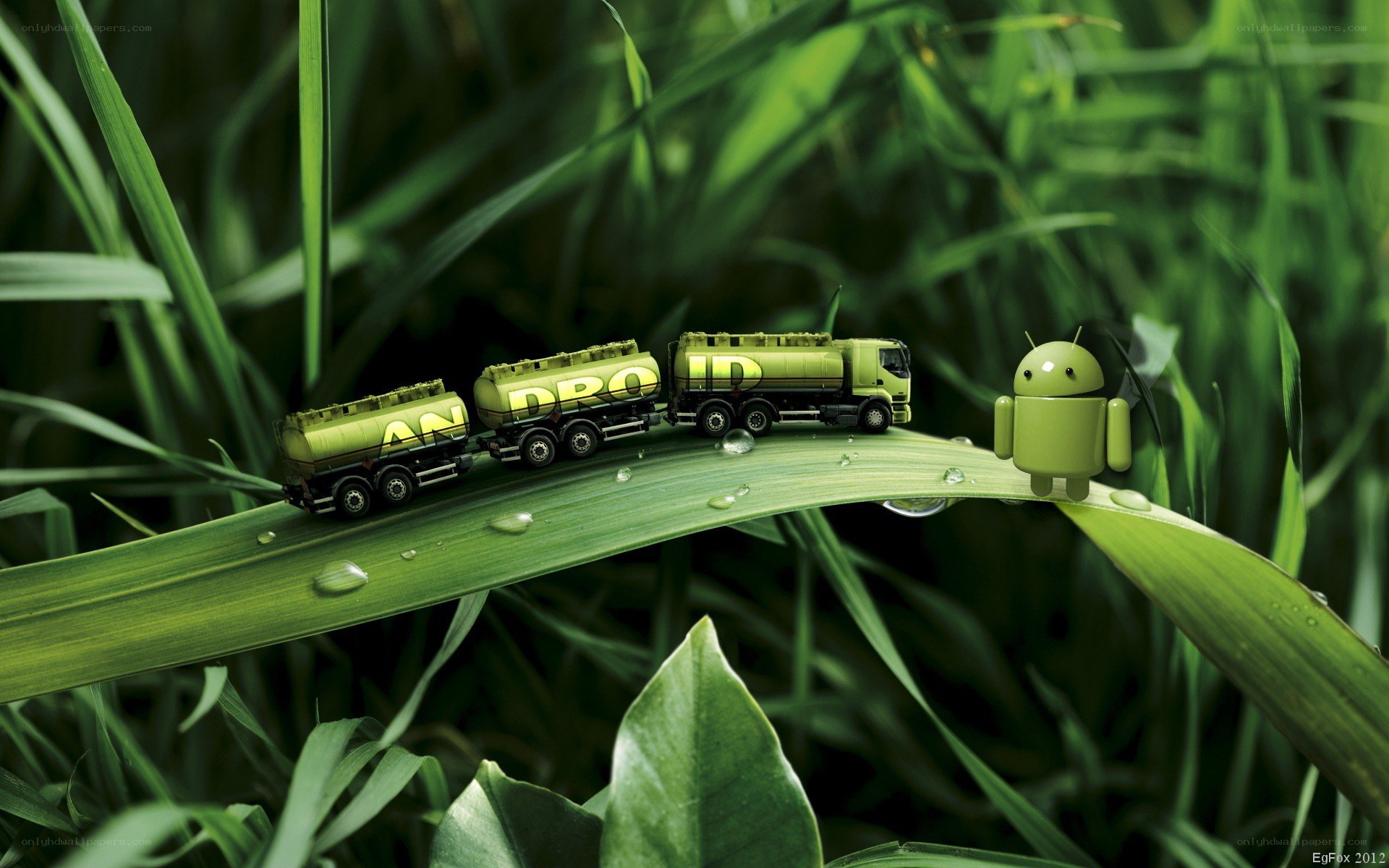 Android on a grass blade