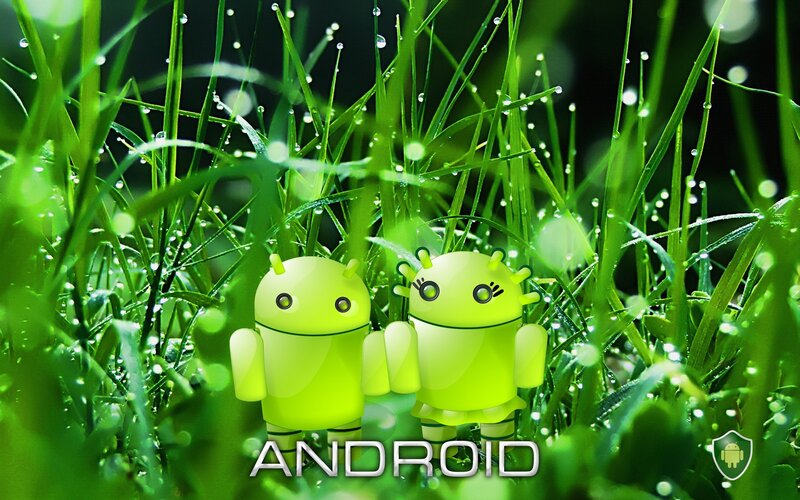 Android robots in grass