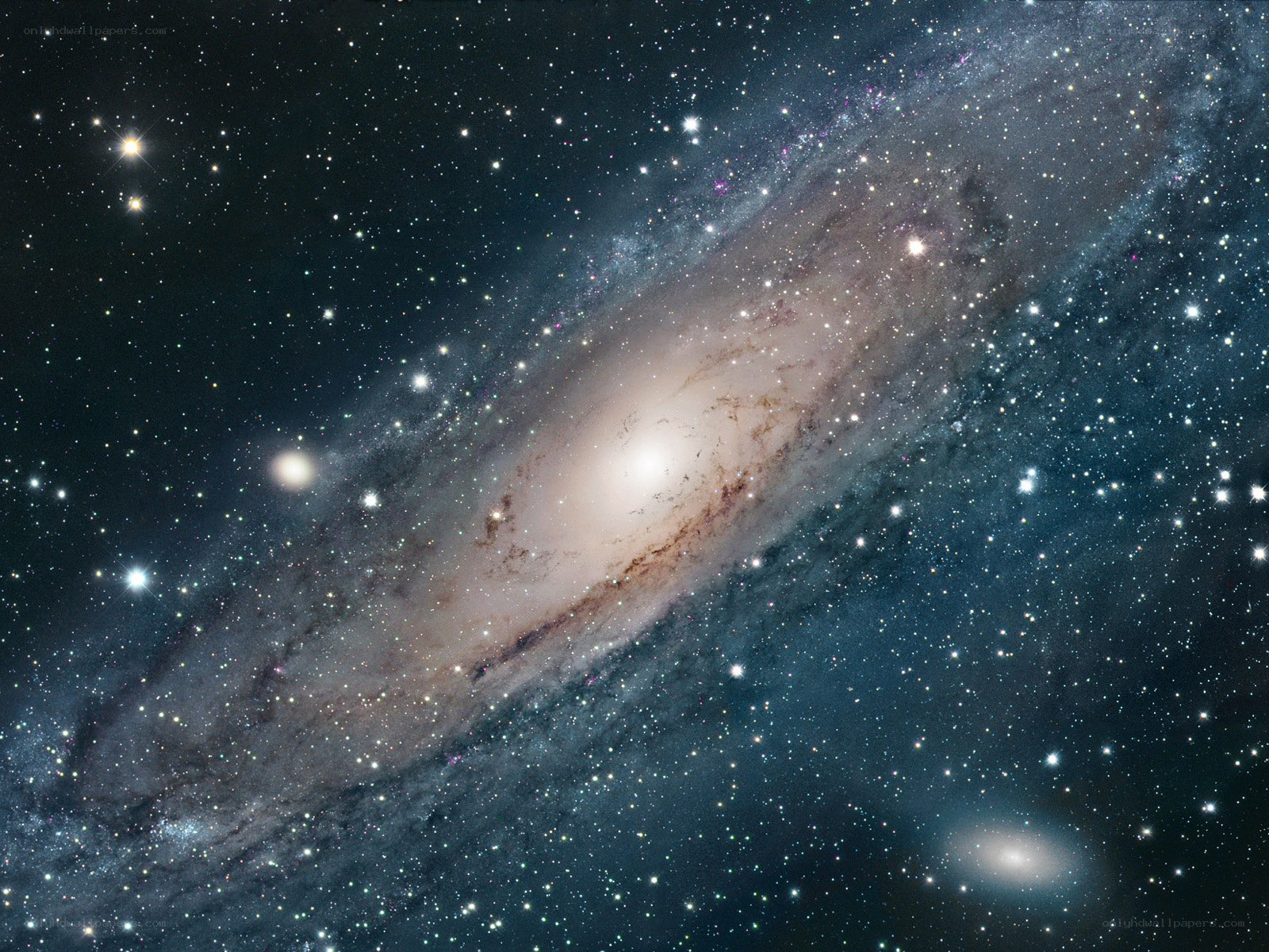 Andromeda Galaxy and stars