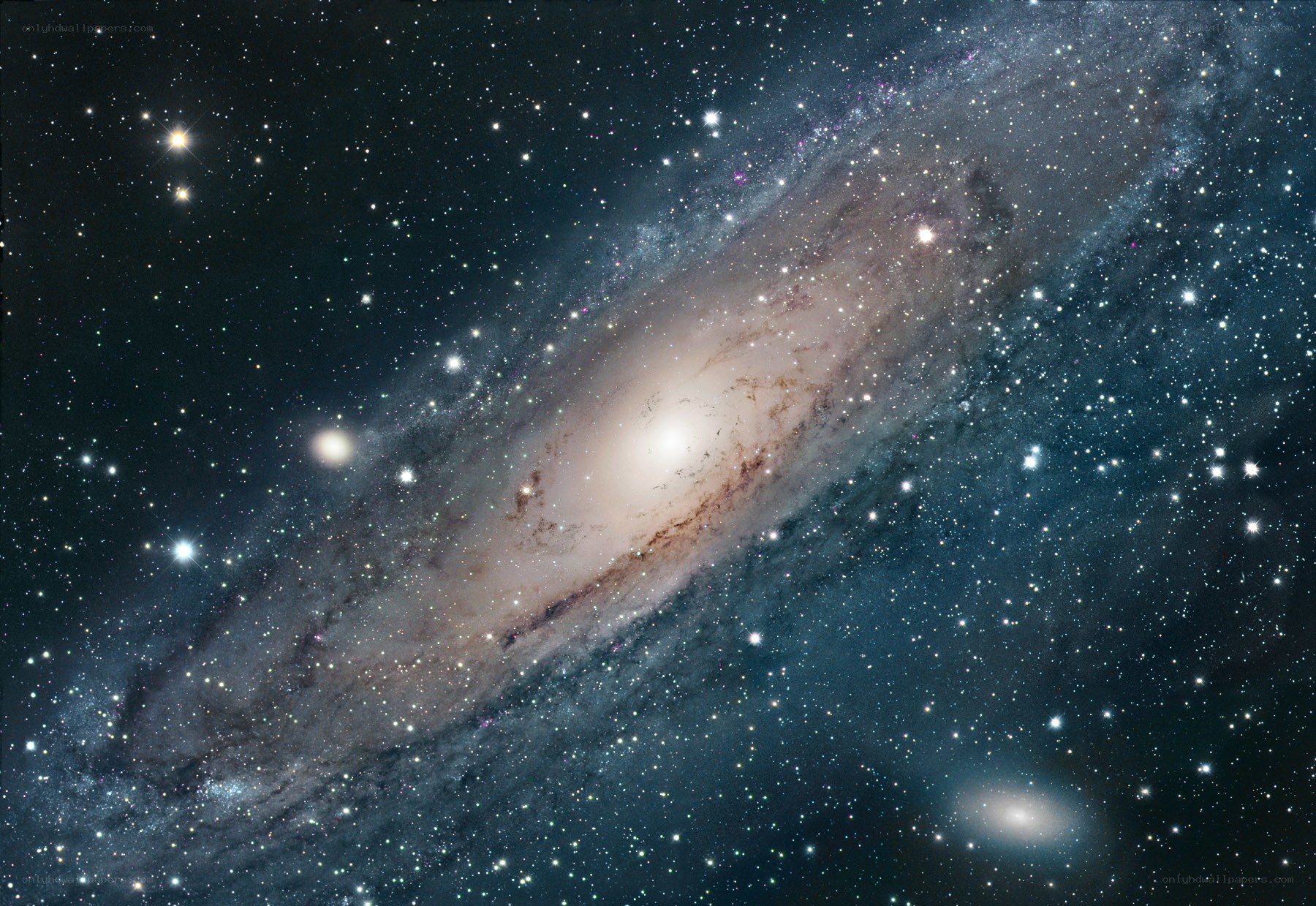 Andromeda Galaxy and stars