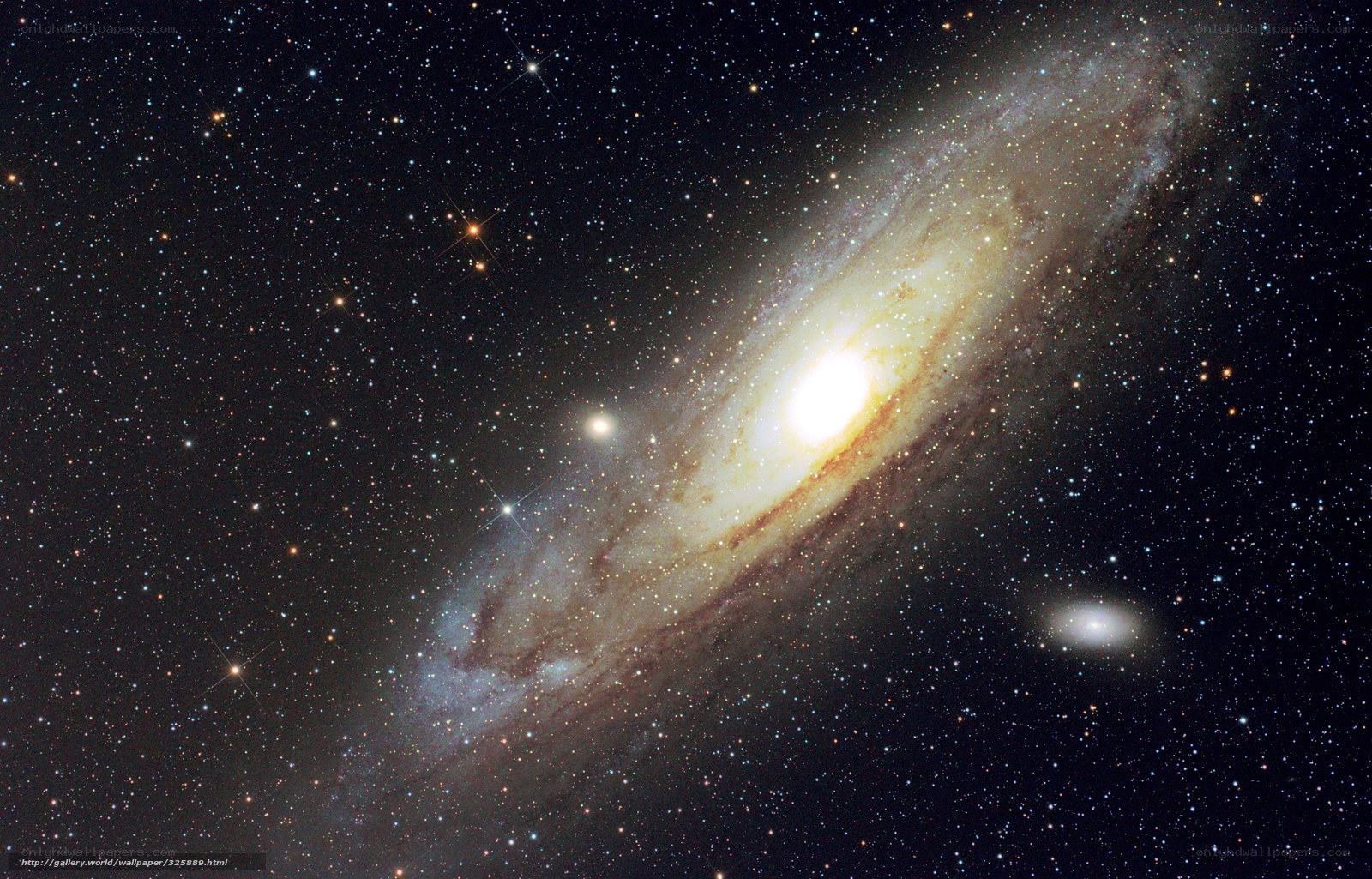 Andromeda Galaxy and stars