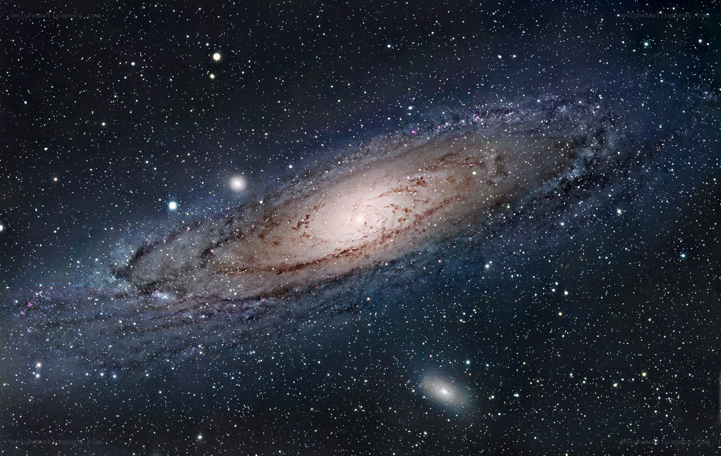 Andromeda Galaxy in deep space
