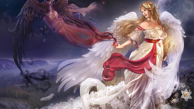 angel and dark angel in flight