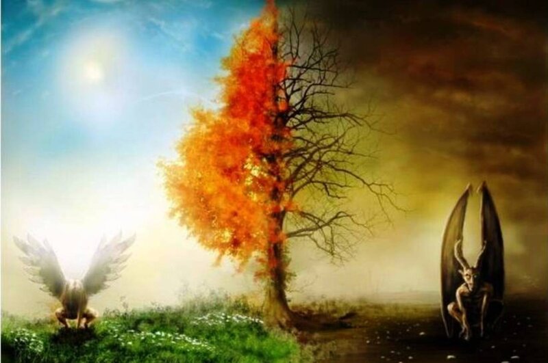 Angel and Demon on Tree