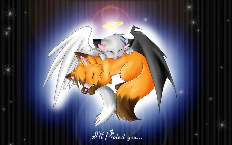 angel and devil foxes sleeping