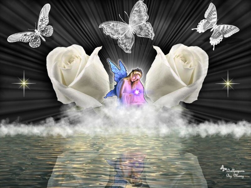 Angel between white roses