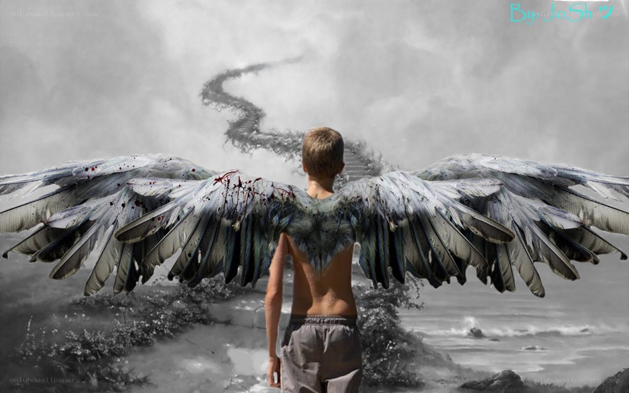 Angel boy with bloodied wings