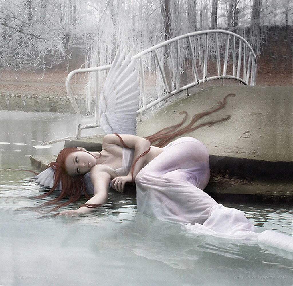 angel by the frozen pond