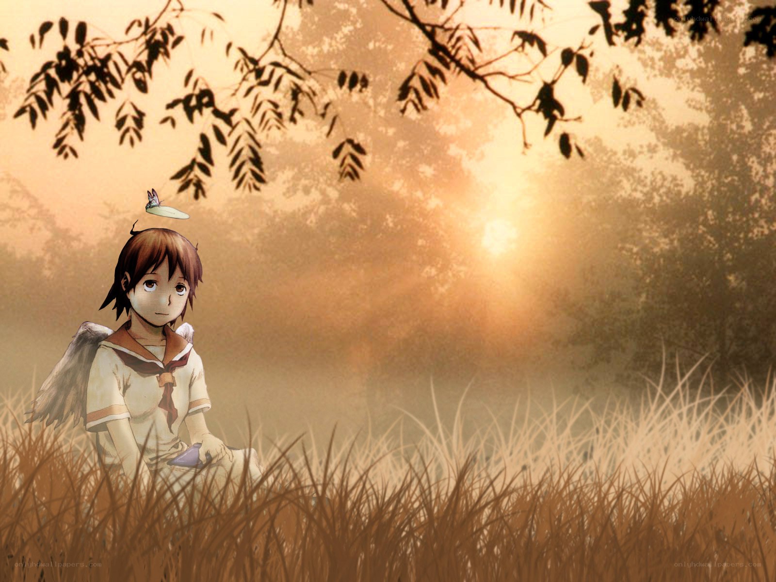 Angel child in a field at sunset