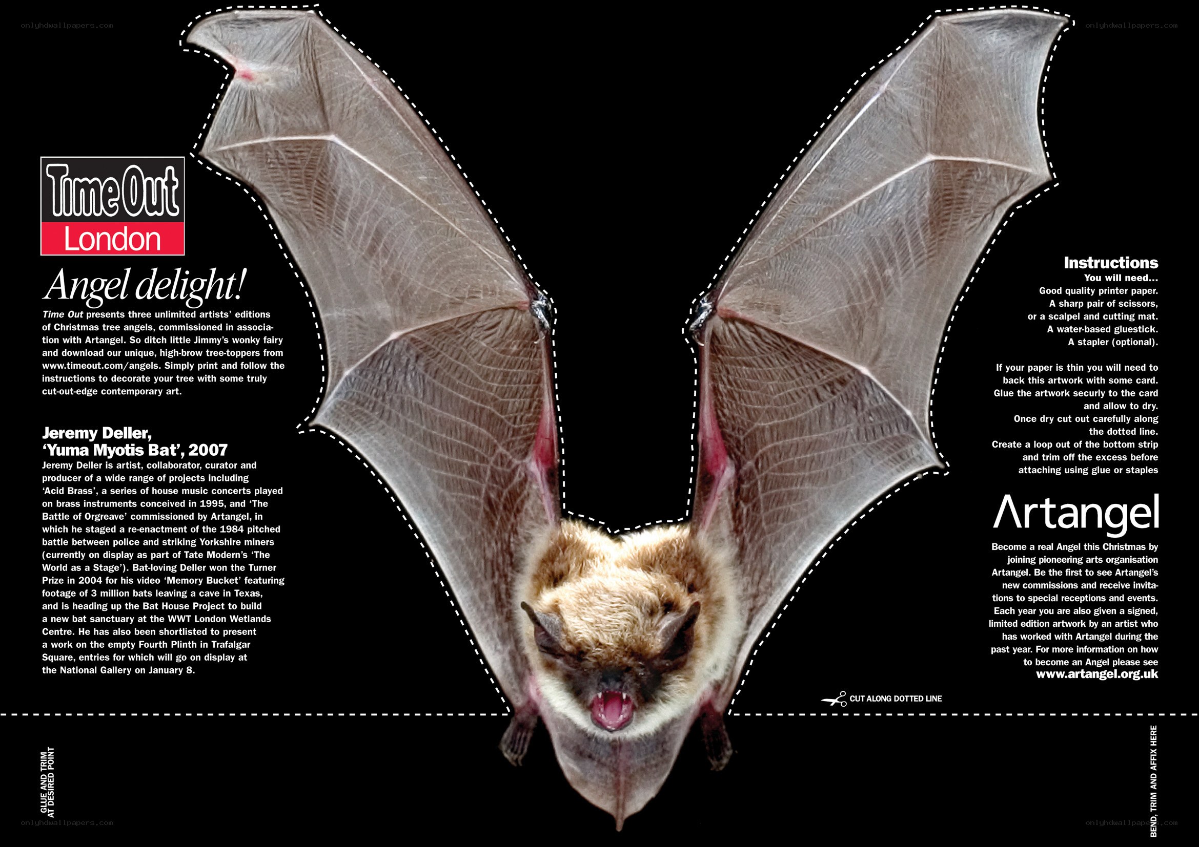 Angel delight bat art