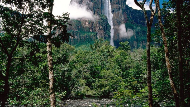 Angel Falls in rainforest