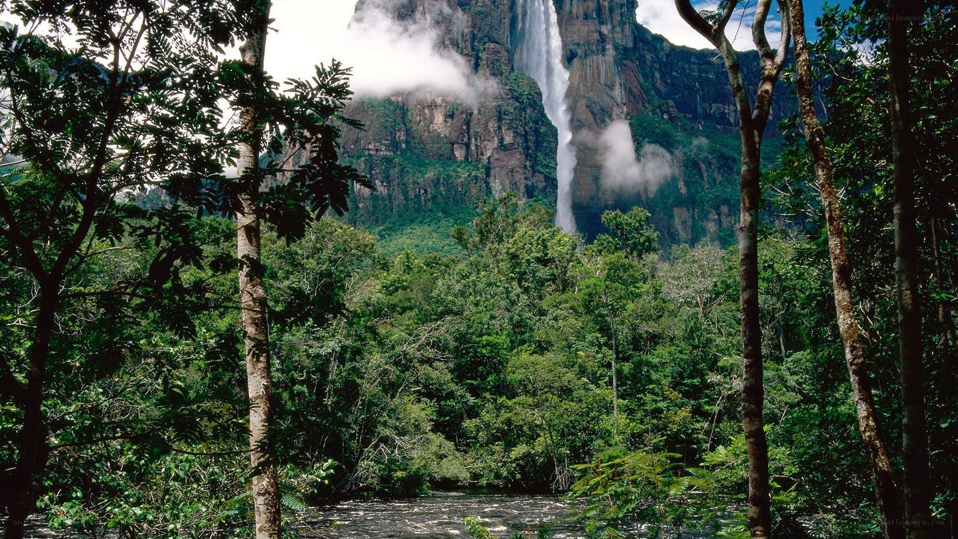 Angel Falls in rainforest
