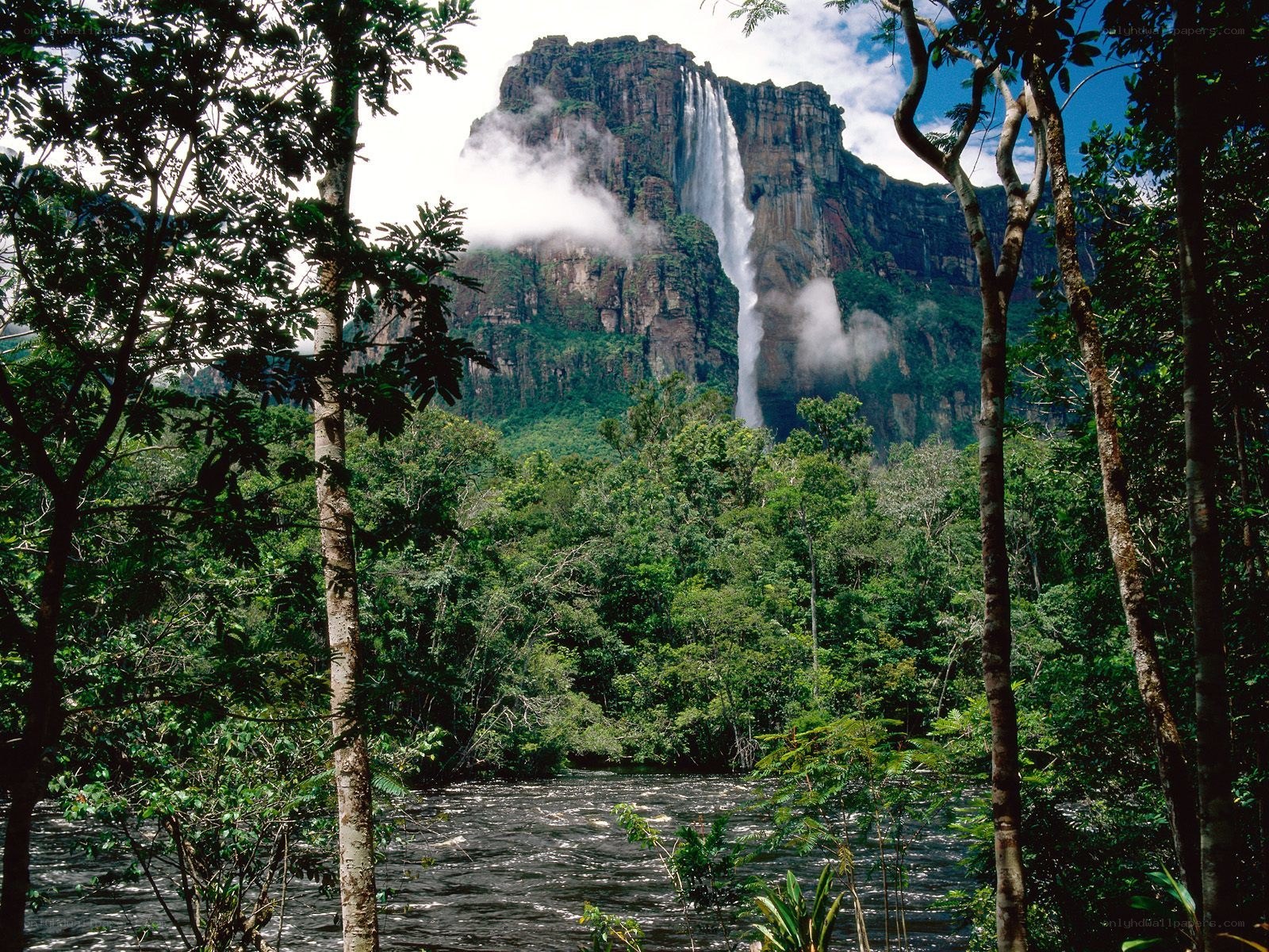 Angel Falls in the jungle