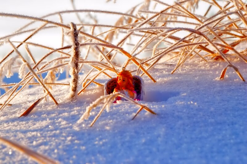 Angel Figurine in Snow — White, Serene, Winter