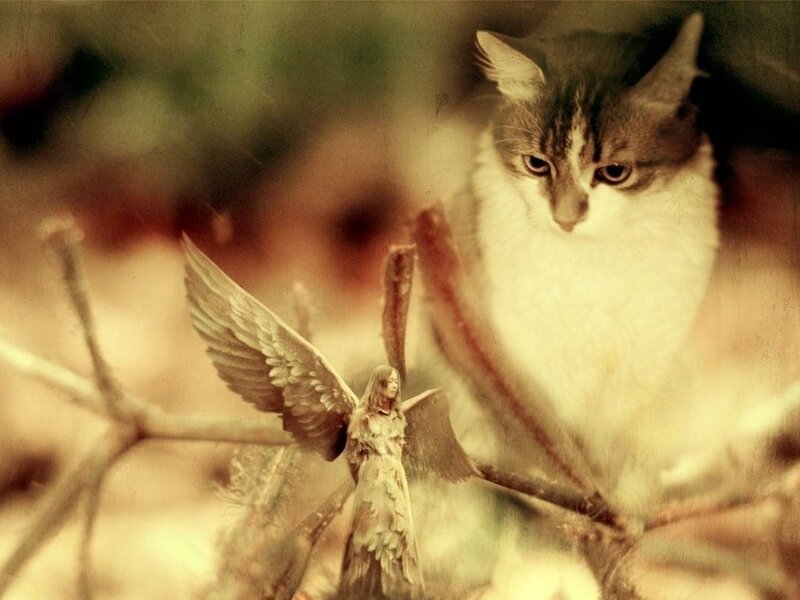 Angel Figurine with Cat