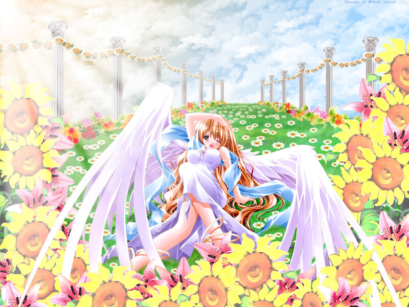 Angel girl in a flower field