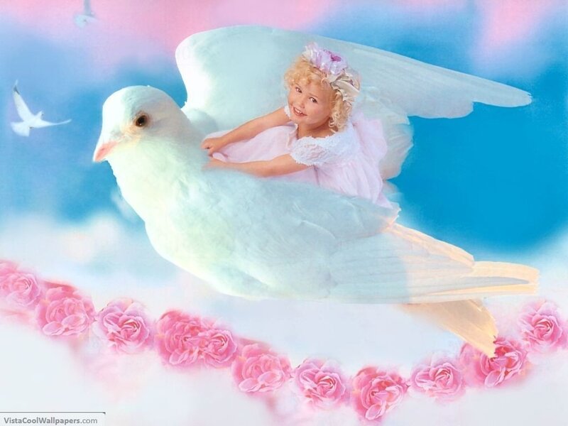 angel girl on dove