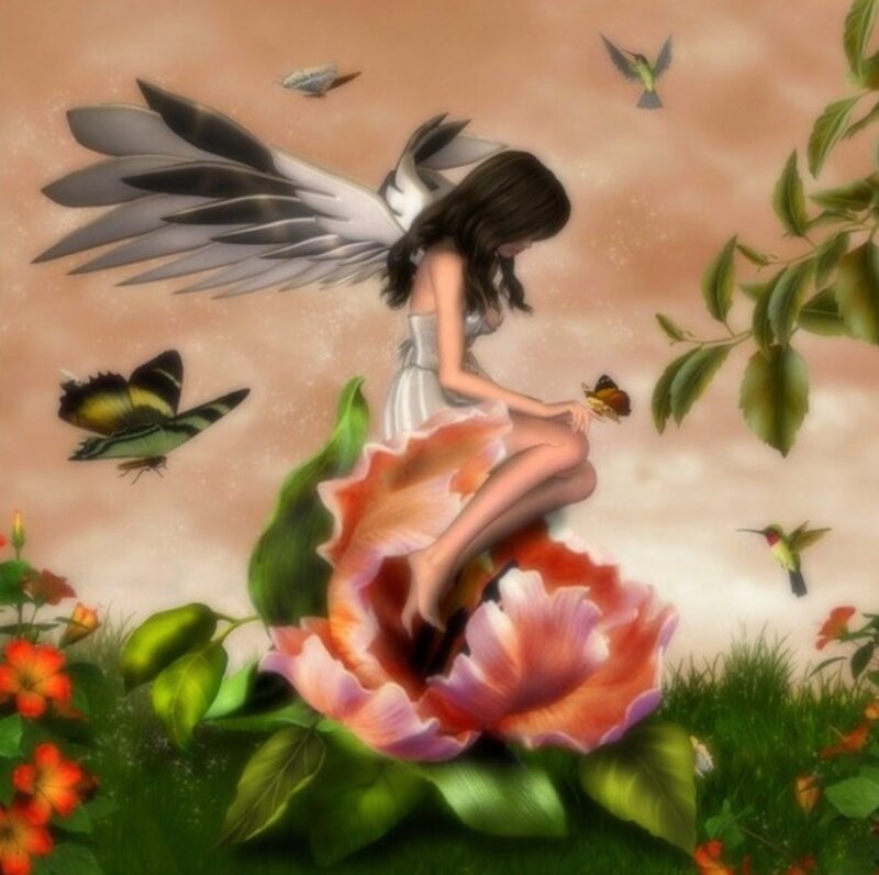 Angel Girl on Flower