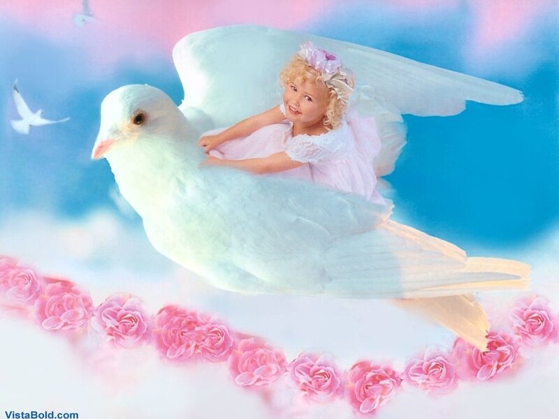 angel girl riding dove