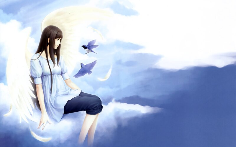 angel girl with birds