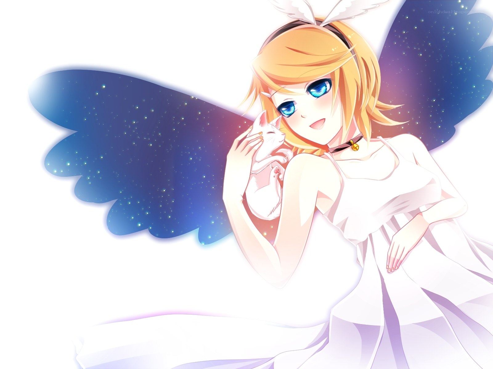 angel girl with cat