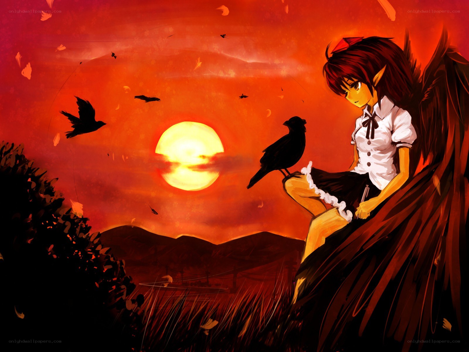 angel girl with crow at sunset
