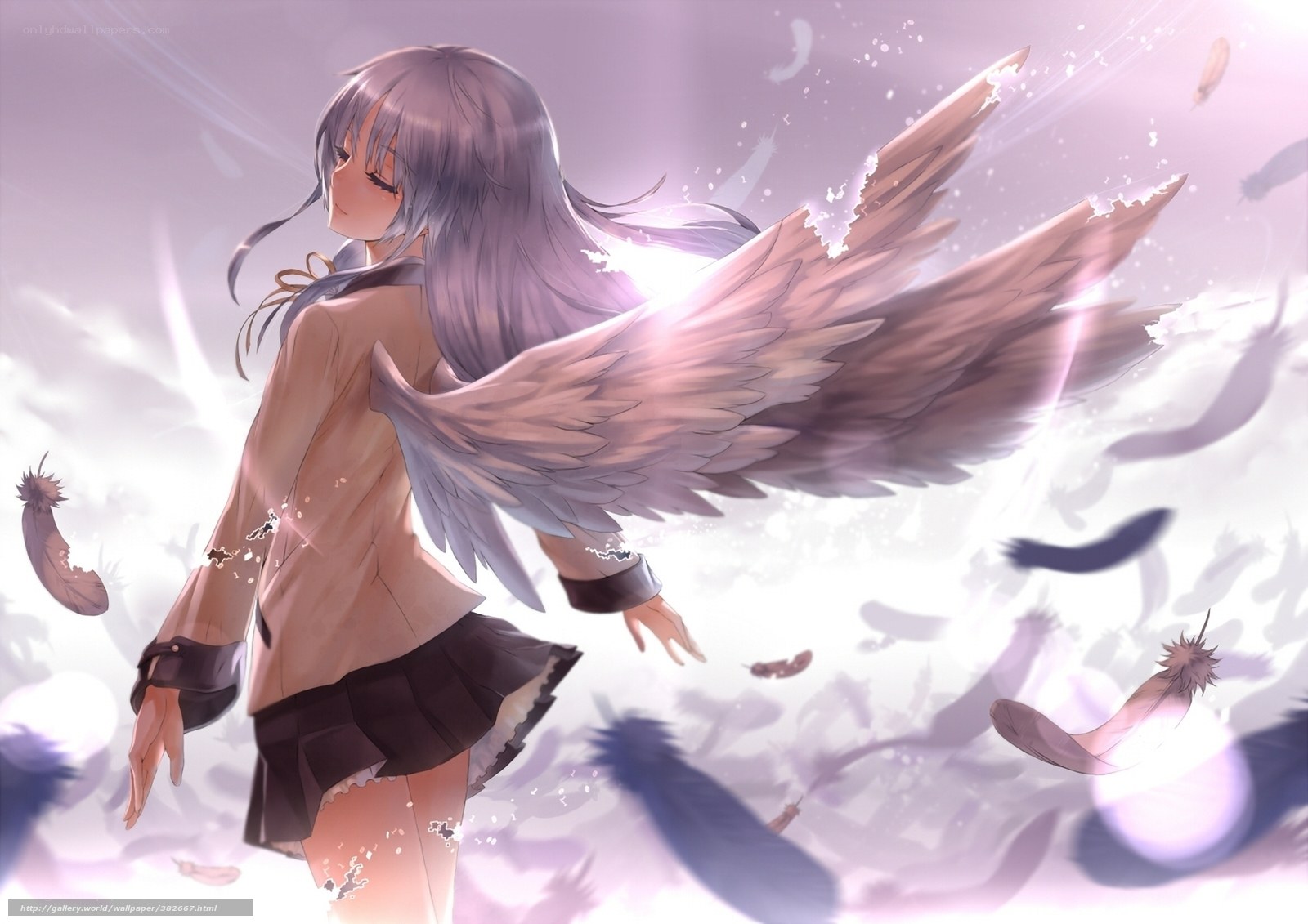 Angel girl with feathered wings