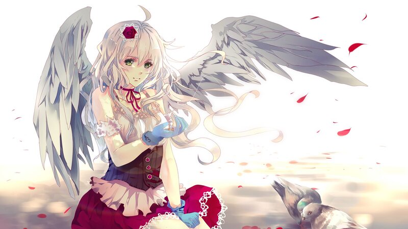 angel girl with rose petals