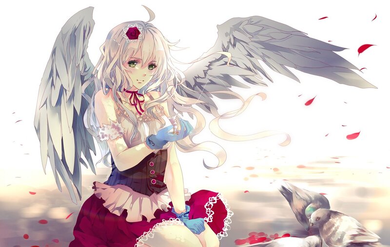 angel girl with rose petals