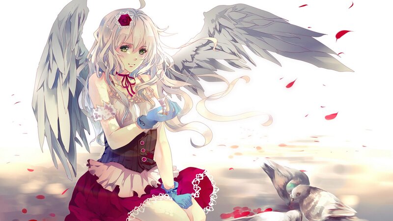 angel girl with rose petals