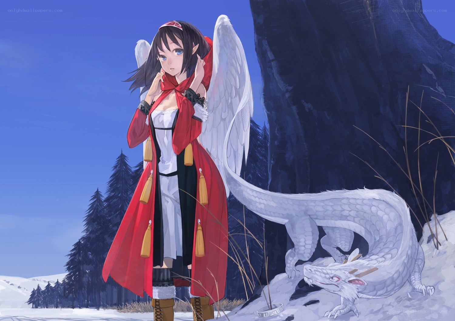 angel girl with white dragon