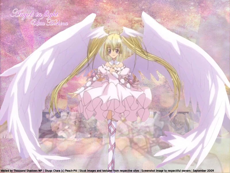 Angel girl with wings