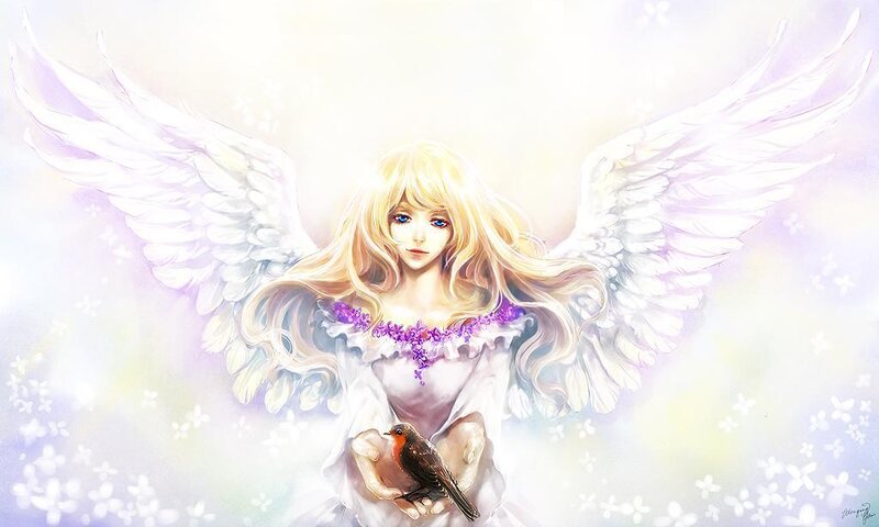 angel holding a bird