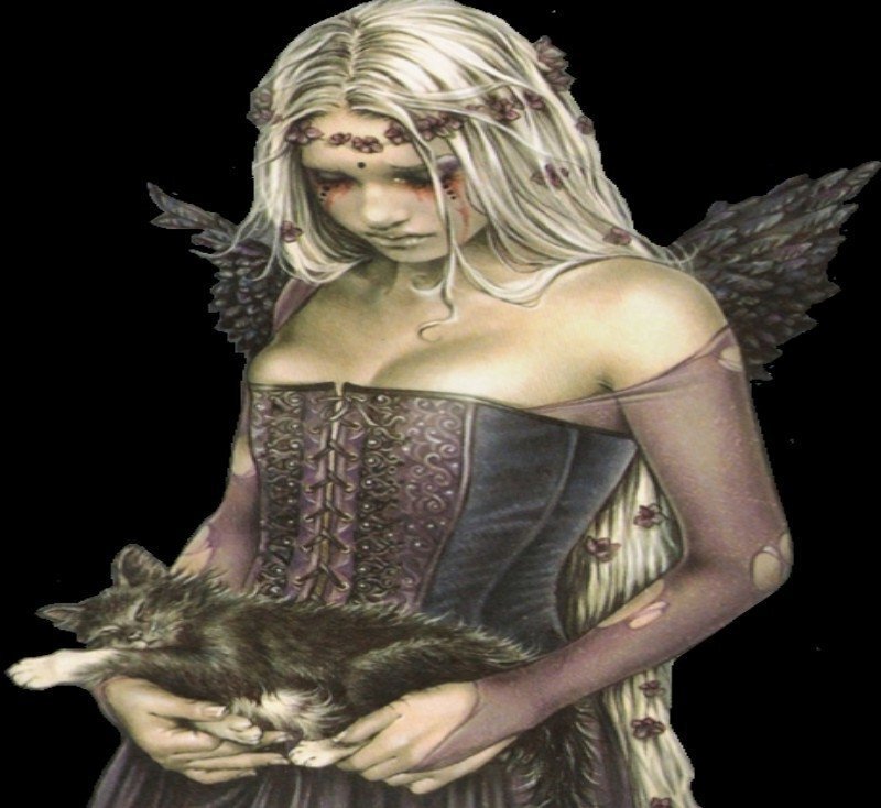 angel holding a kitten