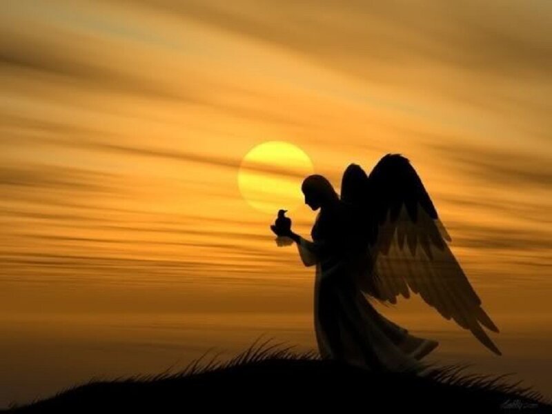 Angel Holding Bird — Orange
