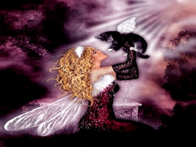 Angel Holding Cat
