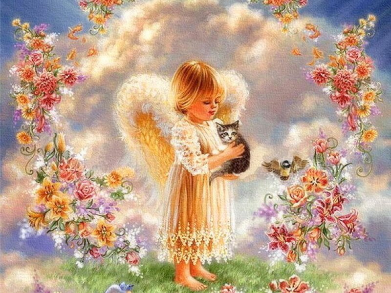 Angel Holding Kitten — Blue, Serene